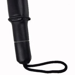 RINGSPORT FOCUS STICK FOCUS PADS