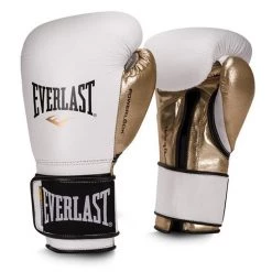 BOXING SPARRING / TRAINING GLOVES EVERLAST BOXING GLOVES