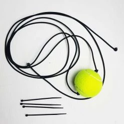 RINGSPORT FLOOR TO CEILING ACCURACY BALL