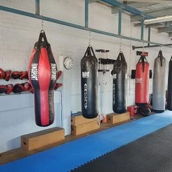 RINGSPORT CUSTOM MADE PUNCHING BAGS