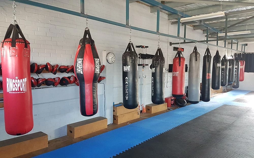 RINGSPORT CUSTOM MADE PUNCHING BAGS 4 RINGSPORT CUSTOM MADE PUNCHING BAGS